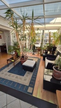 Nekretnina: Zvezdara - Olimp - 146m2 ID#24875