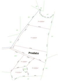 Nekretnina: Prodajem plac na Kopaoniku