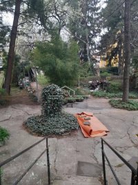 Nekretnina: Senjak, Vase Pelagića, 29m2, 2,7 ari placa ID#1627