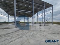 Nekretnina: SURCIN Mala pustara ID: 891131733