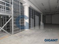 Nekretnina: PALILULA Pančevački put ID: 9631448