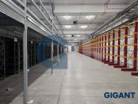 Nekretnina: PALILULA Pančevački put ID: 9631448