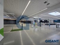 Nekretnina: PALILULA Pančevački put ID: 9631148