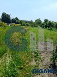 Nekretnina: PALILULA Pančevački put ID: 93499738