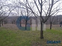 Nekretnina: ZVEZDARA Stanojeva livada ID: 9609973