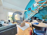 Nekretnina: ZVEZDARA Miloša Savkovića ID: 9611561