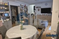 Nekretnina: PALILULA Despotovačka ID: 9600330