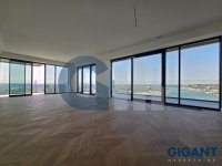 Nekretnina: SAVSKI VENAC Hercegovačka-Savski venac ID: 94206462