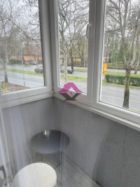 Nekretnina: Novi Sad, Klinički centar, Futoška 25m2, useljivo ID#1592