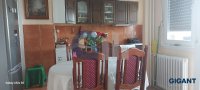 Nekretnina: STARI GRAD Pančićeva ID: 95051114