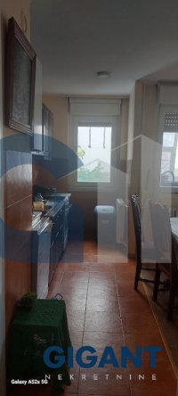 Nekretnina: STARI GRAD Pančićeva ID: 95051114