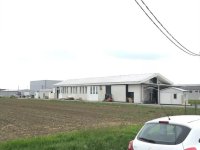 Nekretnina: Prizemlje i galerija hale,Beograd-Dobanovci