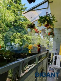 Nekretnina: PALILULA Salvadora Aljendea ID: 96028100