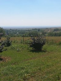 Nekretnina: Jedinstvena Ponuda-Građevinsko Zemljište na obroncima Fruške Gore - Vrdnik ID#7194