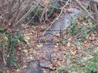 Nekretnina: Prodaju se dva placa koje deli potok ID#7191