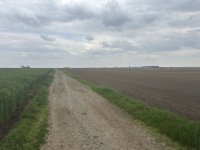 Nekretnina: Na prodaju dve parcele Irig-Rivica