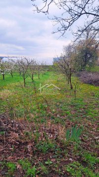 Nekretnina: Grocka - Zaklopača -7ari ID#24994