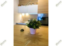 Nekretnina: Prodaja lux stan Zemun Slavonska 34m2 1.5 ID#1435