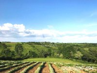 Nekretnina: Plac na Kosmaju-Mladenovac-Velika Ivanča ID#3721
