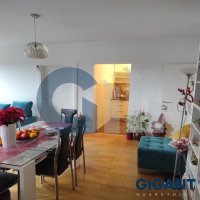 Nekretnina: PALILULA Milorada Dimitrijevića ID: 91402970