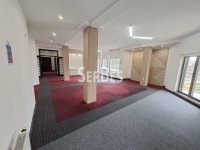 Nekretnina: Moderan 5,0 stan 171m2 kao poslovni prostor u centru ID#1784