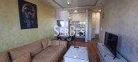Nekretnina: Nov 1,5 stan 42m2 na Bulevaru Evrope ID#1792