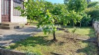 Nekretnina: Barajevo, Vranić, dve kuće, 300m2, plac 11ari ID#10069