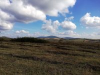 Nekretnina: Njiva-plac -Sibnica -Blizu Kosmaja 