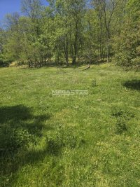 Nekretnina: Idiličan plac sa šumom, Mali Požarevac
