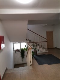 Nekretnina: VOZDOVAC Kostolacka ID: 395139