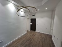 Nekretnina: Palilula, Tašmajdan, Dalmatinska, 34m2 ID#35792
