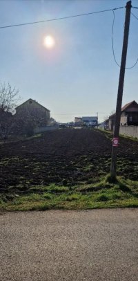 Nekretnina: Prodajem plac u Novim Banovcima 7.44ari