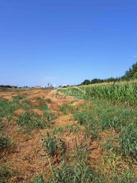Nekretnina: *****Zemun - Plavi Horizonti - 31ari ID#23634