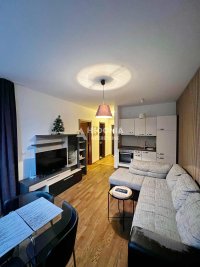 Nekretnina: Kopaonik, Foka SPA, Brzeće, 1.5, renoviran, opremljen ID#10523