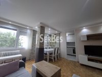 Nekretnina: Izdaje se kompletno renoviran 2,5 stan 51m2  na Limanu 3 ID#1810