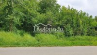 Nekretnina: Gradjevinska parcela u Stojniku, Kosmaj, Sopot ID#4026