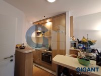 Nekretnina: VRACAR Cerska-Vračar ID: 970477
