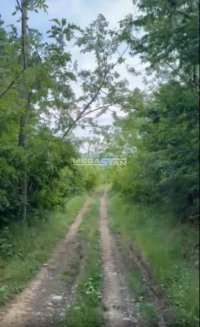 Nekretnina: Trešnja Parcani