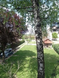 Nekretnina: Avala, blizu megamarketa Koka Mar, 200 m2 
