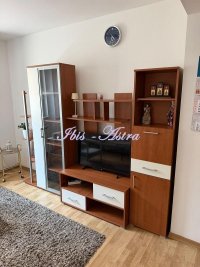 Nekretnina: Stan za izdavanje Karaburma ID#604300