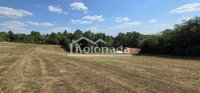 Nekretnina: Prostran plac u Babama, Kosmaj, Sopot ID#4726