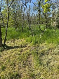 Nekretnina: Plac na prodaju u podnozju Vrsackog brega