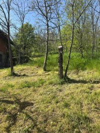 Nekretnina: Plac na prodaju u podnozju Vrsackog brega
