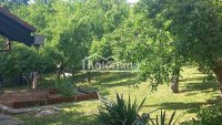 Nekretnina: Kuća u Nemenikućama, Kosmaj Sopot ID#6526