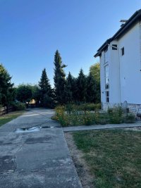 Nekretnina: Izuzetna Ponuda - Ulaz u Čelarevo - 9261m2  placa - 208m front ID#7242