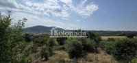 Nekretnina: Vikendica u Nemenikućama, Kosmaj, Sopot ID#6626
