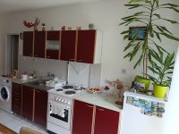 Nekretnina: Jednoiposoban stan, NOVI SAD, ADICE