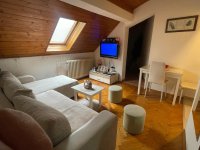 Nekretnina: Jednoiposoban stan, NOVI SAD, CENTAR