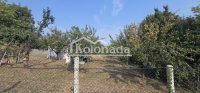 Nekretnina: Plac u Nemenikućama, Kosmaj, Sopot ID#6726