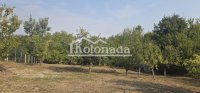 Nekretnina: Plac u Nemenikućama, Kosmaj, Sopot ID#6726